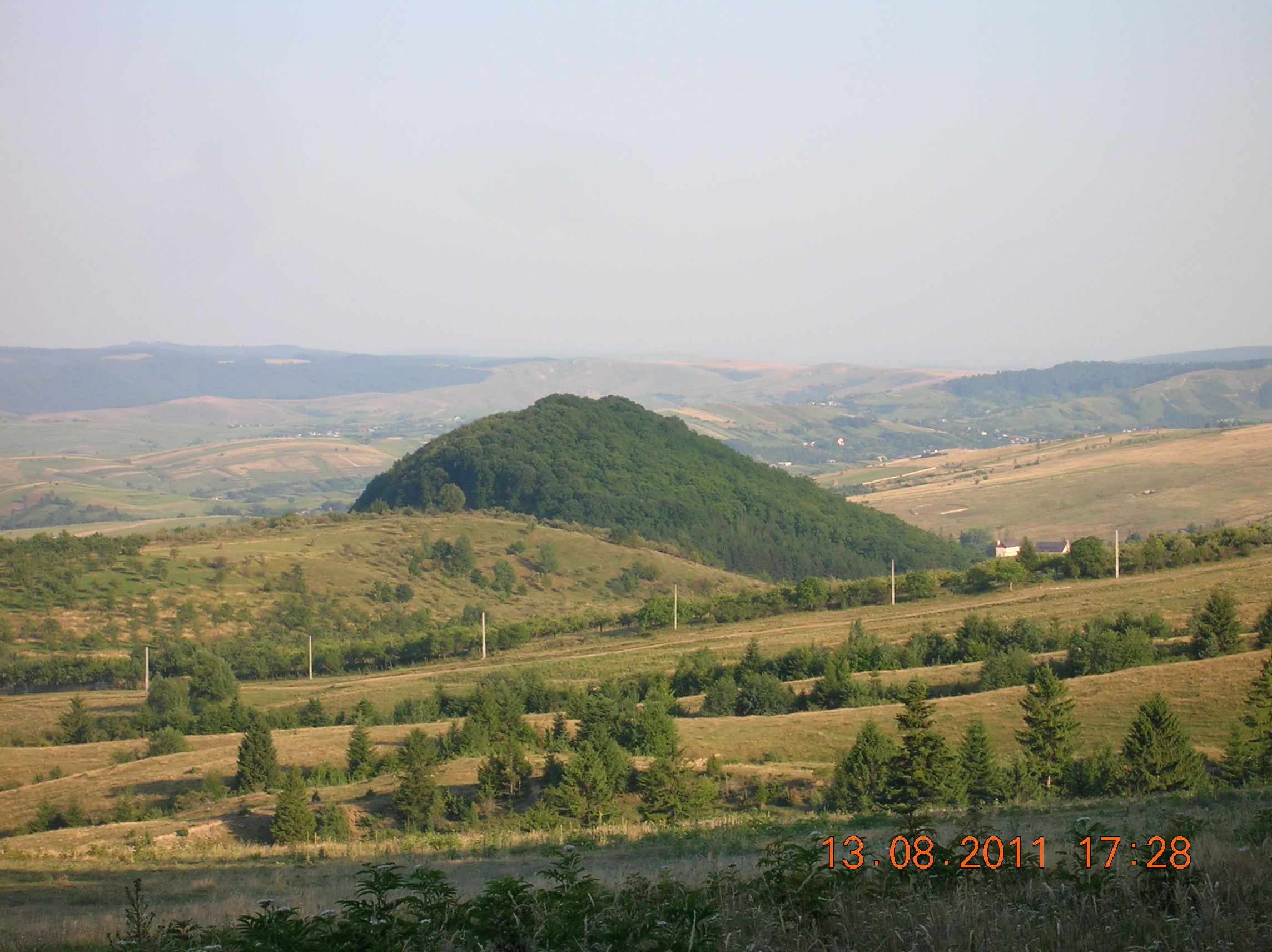 Codrii de Aramă