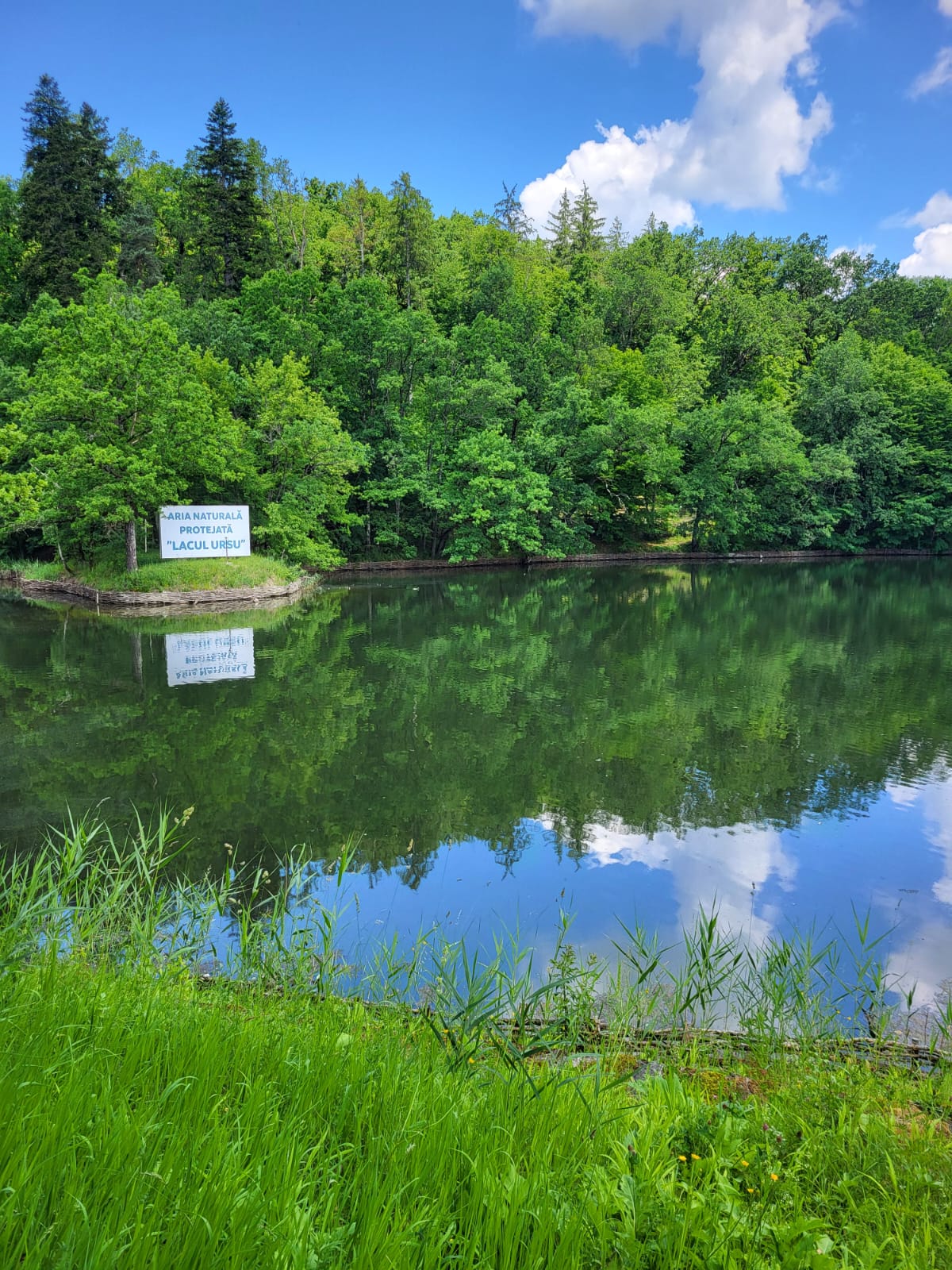 Lacul Ursu — fotografia 3
