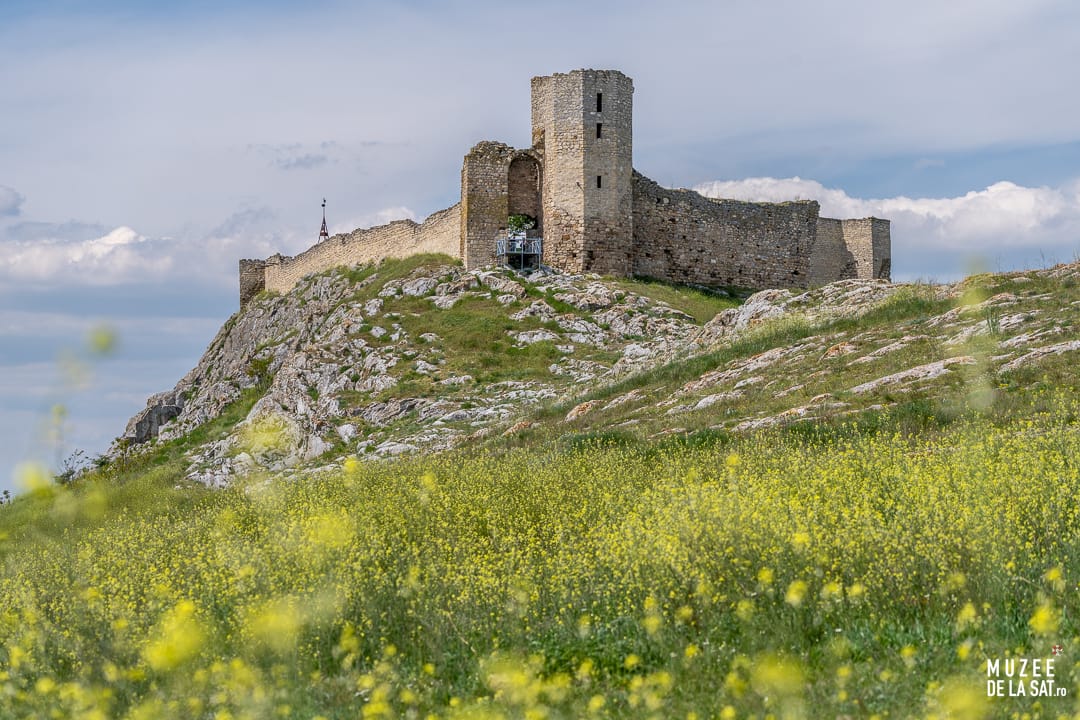 Cetatea Enisala