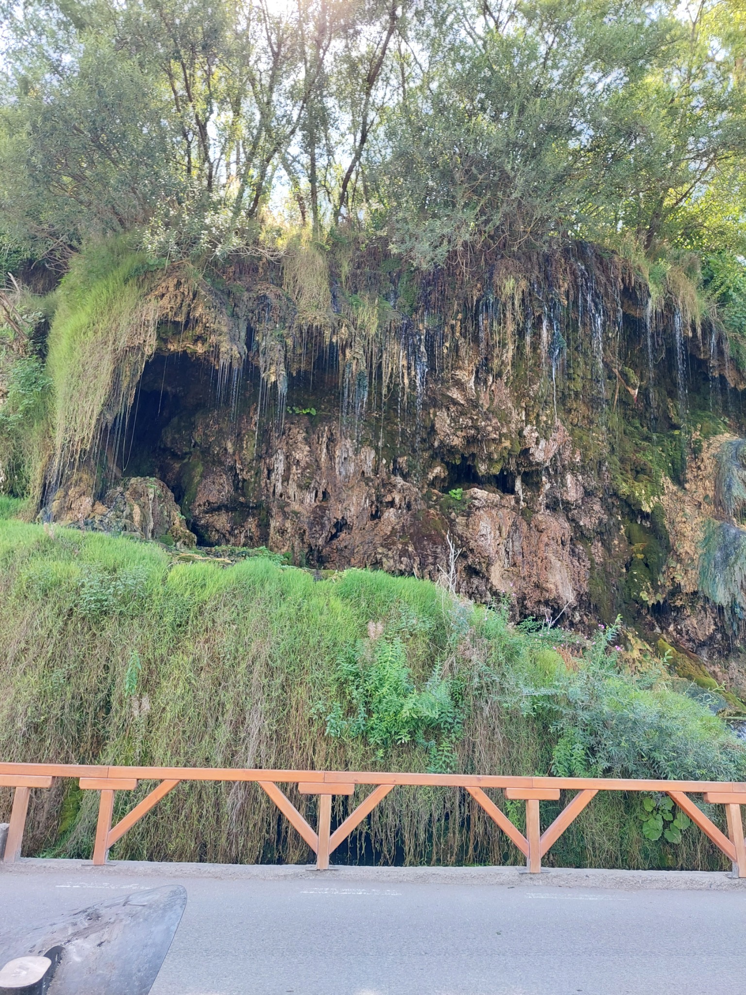 Cascada Mezotermală Toplița