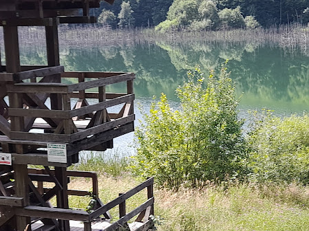 Lacul Cuejdel — fotografia 4