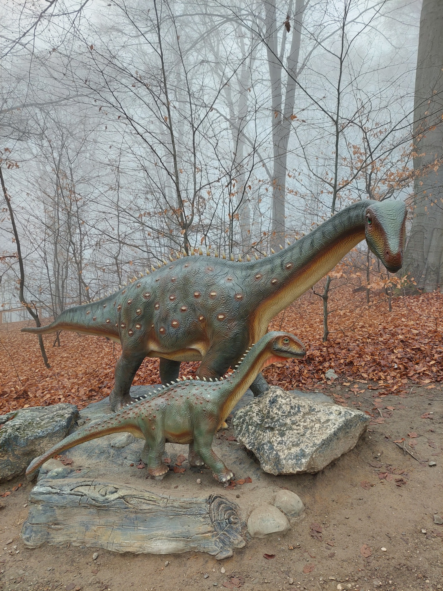 Dino Parc Râșnov — fotografia 4