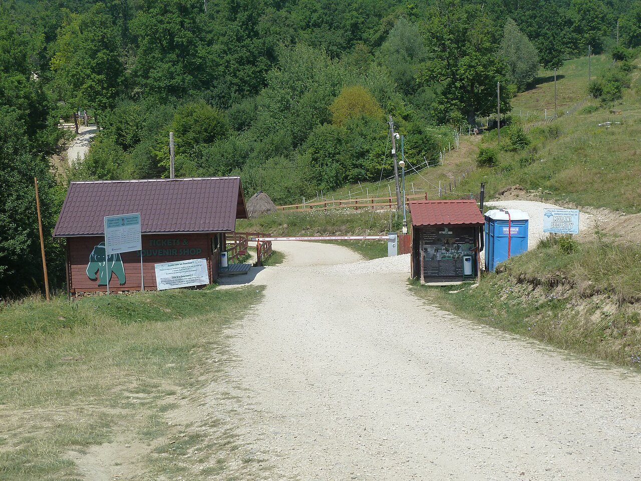 Sanctuarul de urși Libearty din Zărnești