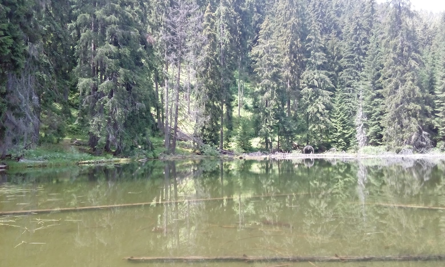 Tăul Zânelor — fotografia 4
