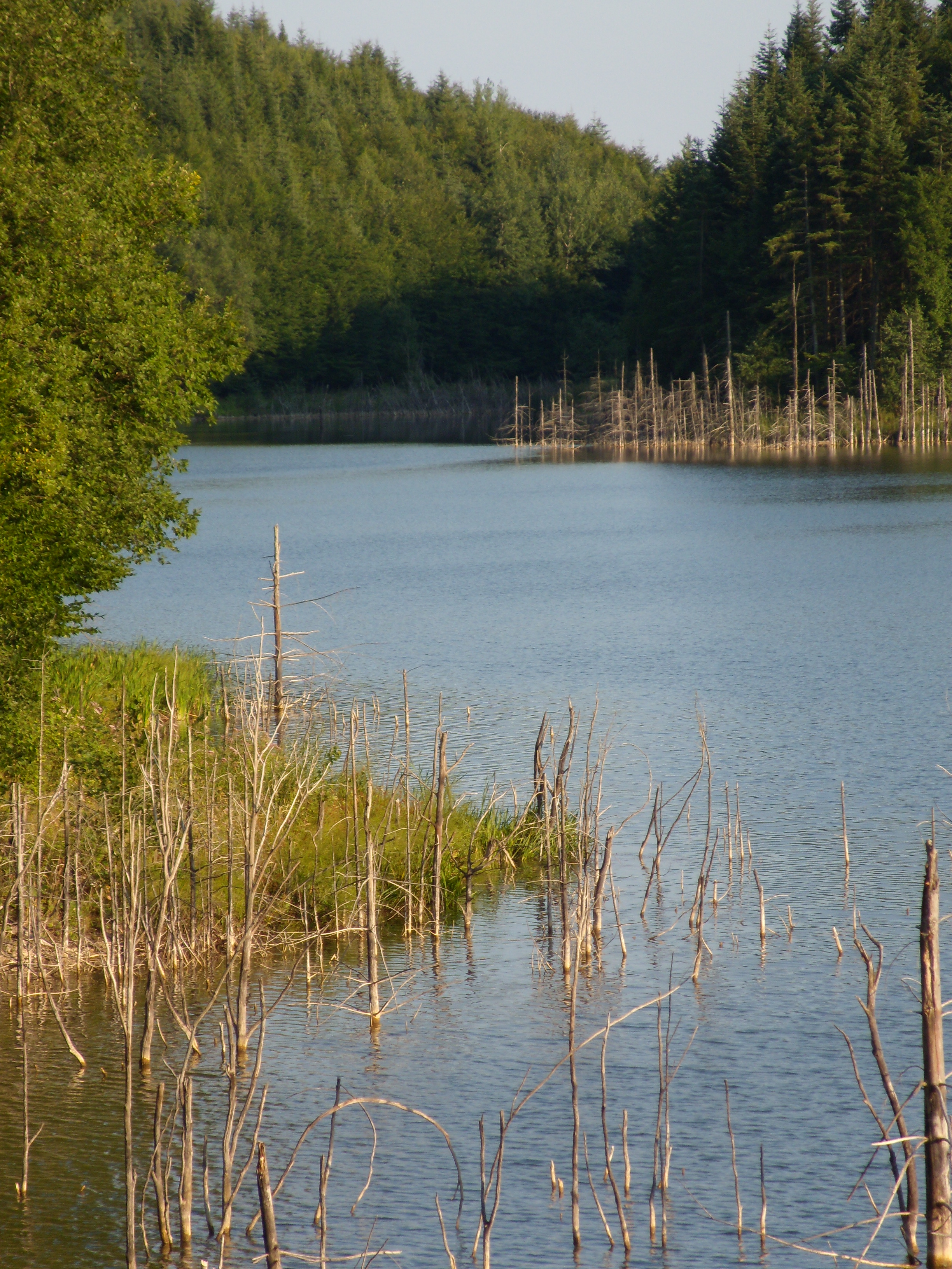 Lacul Cuejdel