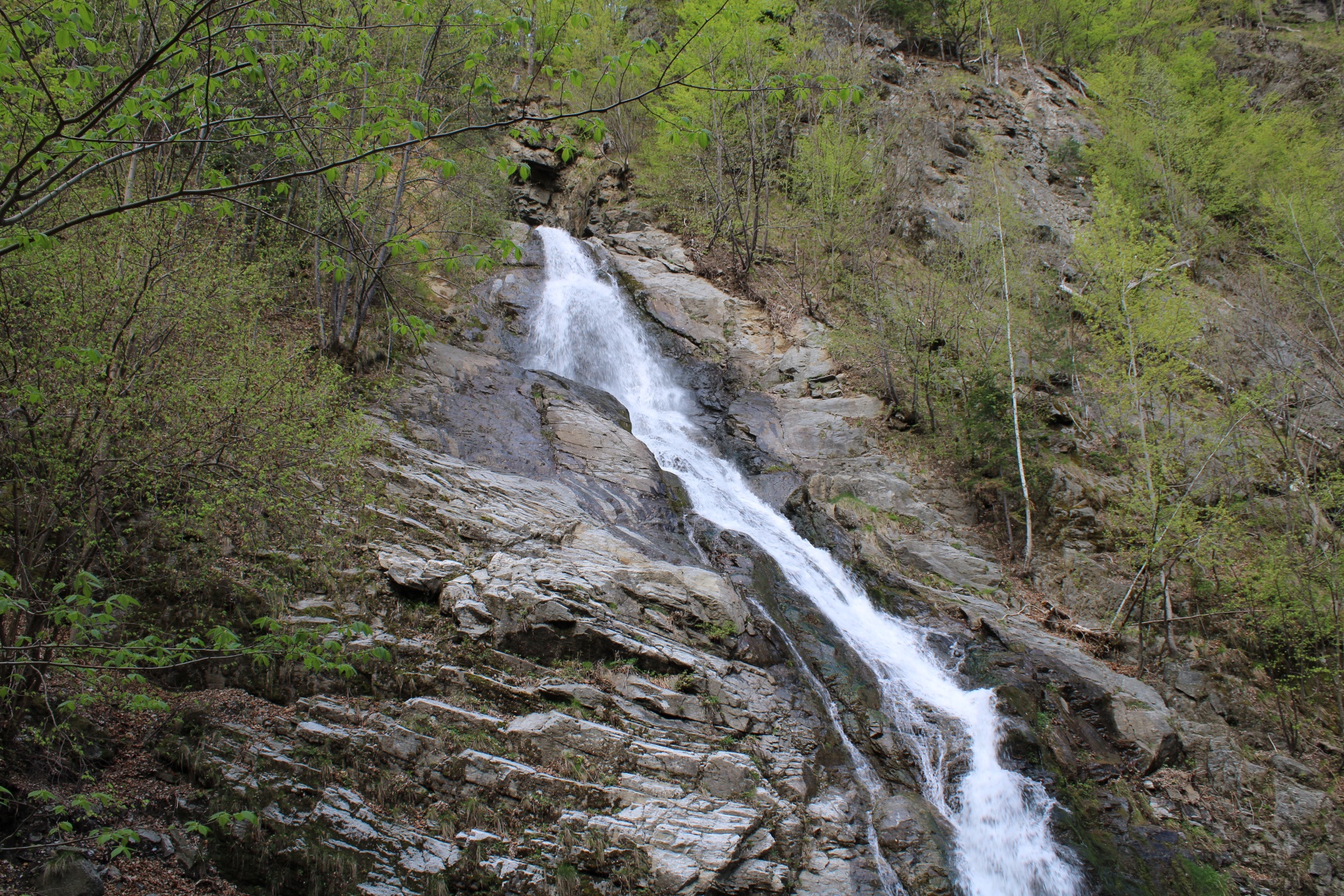 Cascada Lotrișor