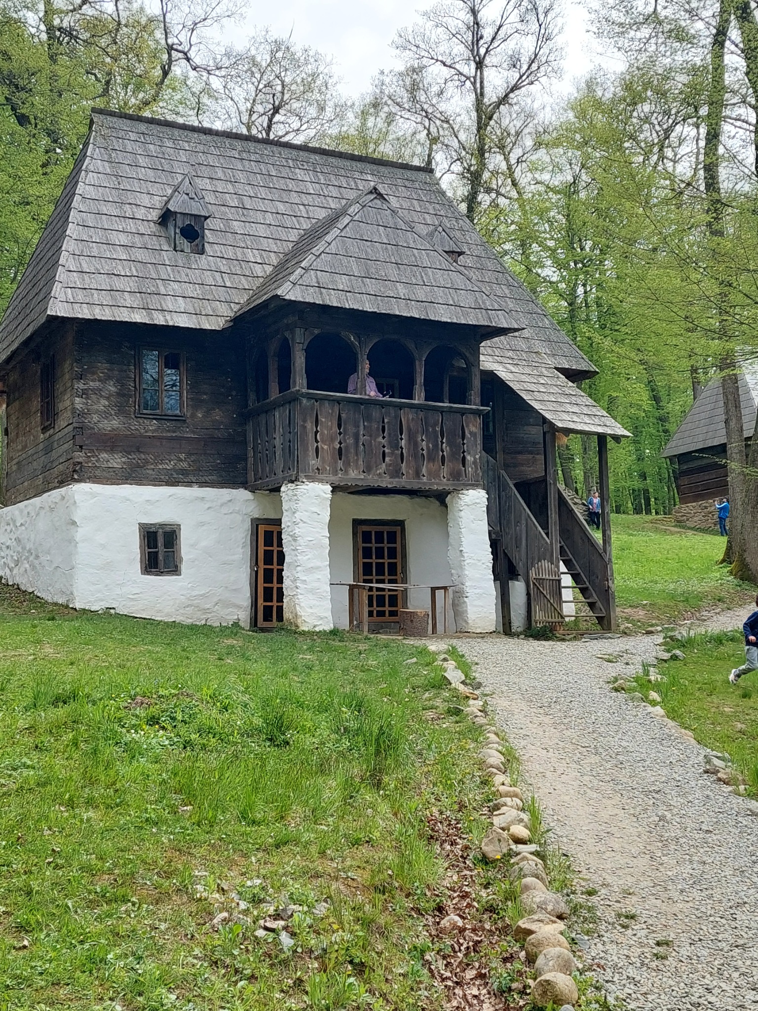 Muzeul ASTRA — fotografia 4
