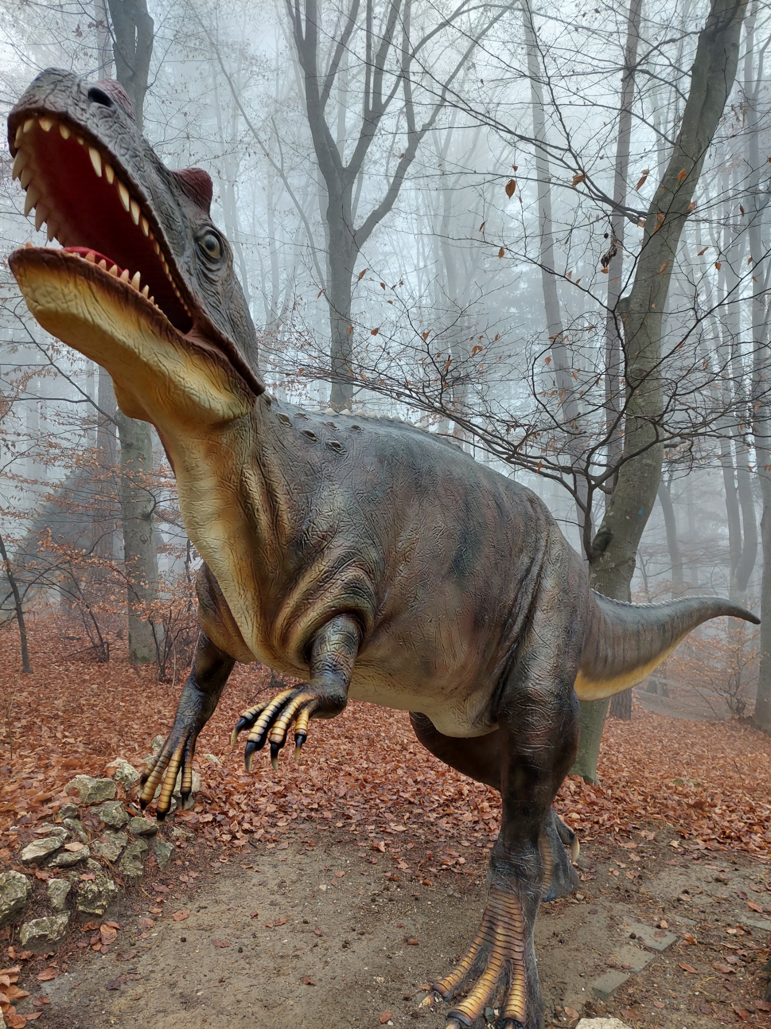 Dino Parc Râșnov — fotografia 2
