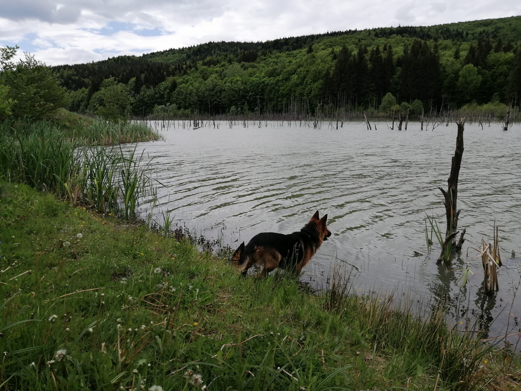 Lacul Cuejdel — fotografia 3