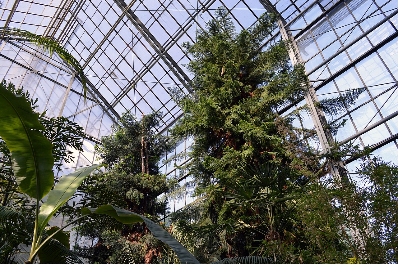 Grădina Botanică Alexandru Borza